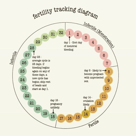 Fertility Tracking Diagram Monarch Healthcare Monarch Healthcare