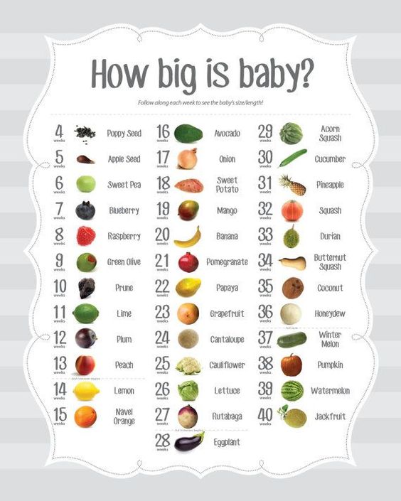 Baby Development Fruit Chart: A Guide to Your Baby’s Growth and Health
